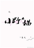 荷兰vodafone办公室