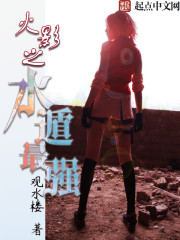 黑羽之舞 银桃花 小说