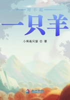 原神雷神ドラえもんのエ网站