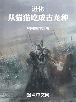 龙珠布尔玛本子
