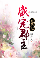 大江东去小说