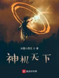 一夜贪欢总裁别太猛全文免费阅读