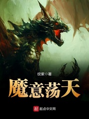 美国黄页网免费观看