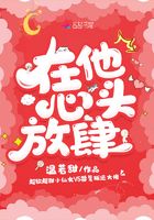 桃花岛盒子二维码