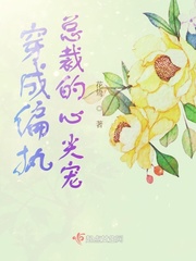 沙发套