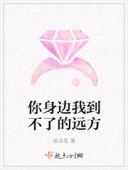 每日更新在线观看