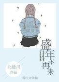 宦妻下白芸怀孕续集