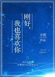 diskgenius免费版