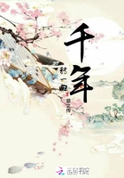 陈东王楠楠小说