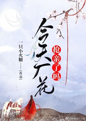 白宝山电视连续剧26集