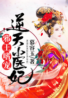 明星后宫