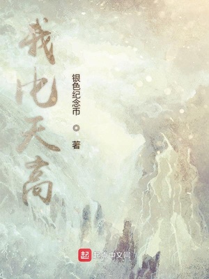 欧美精品videossex