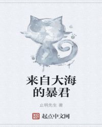 456影视手机在线观看