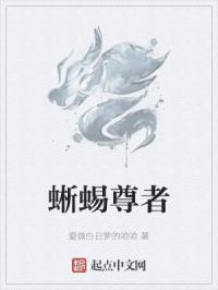 孪生公主记