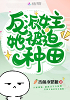 长月无烬小说