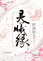 漂亮主妇电视剧