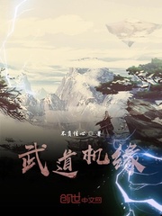 亮剑之雷霆战将