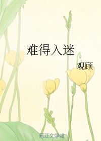 快豹记录世界记录你