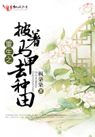 苹果在线观看-免费高清版