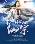 乱岳目录伦