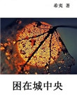 帝王受侍卫攻高h禁宫