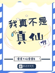 成熟放荡的人妖小说