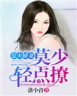 假面骑士龙骑美版