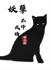 电梯小姐在线观看