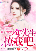 快把我哥带走小说