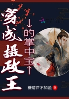 人肉玩具电影