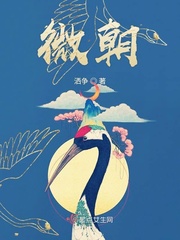 欧洲视频整片