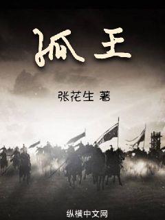 蚀骨沉沦