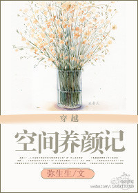 秦晚晚霍连城小说