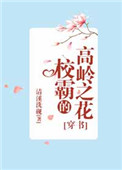小别离在线观看免费