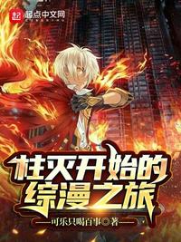 星刻的龙骑士小说