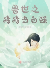 窝窝影视理论片