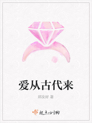 伦理小说在哪能看上?