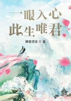 爱情岛线路一线