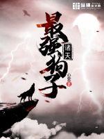 这是我的战争土豪版下载