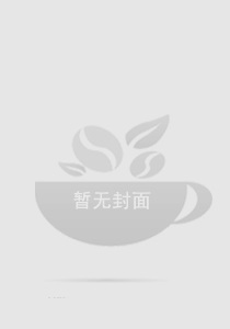 蓝天航空公司续集