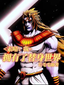 四神集团进入