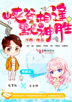 绝色仙女王妃从天降