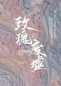 孽债情缘小说