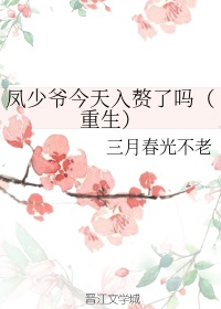 少年派第一季全集免费观看完整版