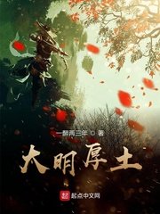 风流医圣小说