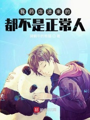 老何偷媳全篇阅读目录