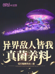 完美寻宝