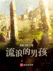 坏儿子鲍比安攻略