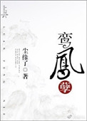 我和我的太阳