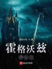 忍风战队